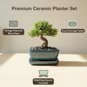 Macetas de Cerámica Yixing al por Mayor, Pequeñas, Multi-Estilo, Porcelana con Esmalte Azul, Duraderas, Biodegradables, para Jardín y Hogar - Product Image 3