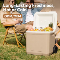 Glacière portable à roulettes 18L avec couvercle hermétique, compartiment pour blocs de glace et porte-bouteilles pour voyages et pique-niques, couleur personnalisable, fournisseur