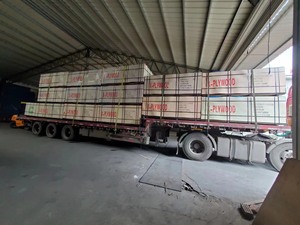 9mm 12mm 15mm 16,5mm 17mm <span class=keywords><strong>20mm</strong></span> 21mm 18mm a Peri encofrado de madera contrachapada <span class=keywords><strong>precio</strong></span> - Product Image 6