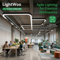 Système d'éclairage linéaire LED professionnel intégré pour suspensions, caméras audio, projecteurs, bureaux intelligents, bâtiments, entrepôts OEM, supermarchés