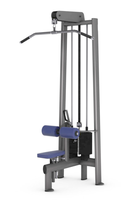 Vendeur chaud équipement de gymnastique d'entraînement de dos machine d'entraînement de bras machine de triceps aérienne