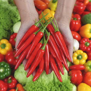 Modè<span class=keywords><strong>le</strong></span> pédagogique durable de faux piment <span class=keywords><strong>Serrano</strong></span> pour les démonstrations scientifiques en classe et la formation en sécurité alimentaire - Product Image 3
