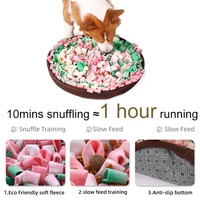 Tapis anti-dérapant avec motif feu d'artifice, bol d'alimentation lente, à la mode, fournitures d'entraînement colorées pour chiens, personnalisable