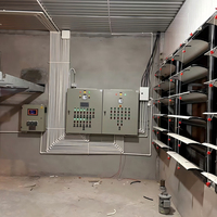 Éclairage LED personnalisé pour volailles, programmation de l'éclairage pour élevages de poulets, variateur d'intensité IP67, variateur d'intensité pour volailles et bétail, contrôleur manuel