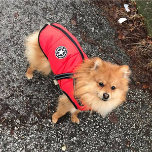 معطف شتوي للكلب مع حزام مدمج ، جاكيت كلب قابل للتعديل سترة رياضية للكلاب في الهواء الطلق مع تصميم شريط عاكس متين D-Ring - Product Image 6
