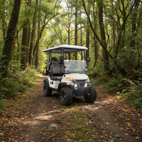 Voiturette de golf personnalisable à 4 places, électrique, au lithium, homologuée pour la route, voiturette de golf électrique au lithium à 4 places