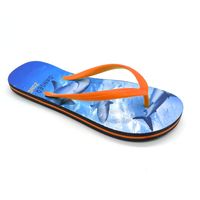 Requin de mode flip flops