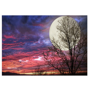 Dipinti su misura all'ingrosso del paesaggio della tela della <span class=keywords><strong>luna</strong></span> della pittura del diamante 5D fai da te - Product Image 1