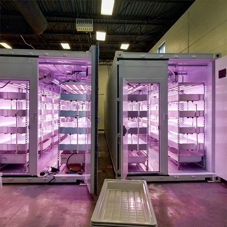 Smart Growth Container Full Cycle Precision