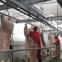 Équipement d'abattage de porcs Gambrels de porc de style européen pour la ligne de convoyeur d'abattoir de porcs