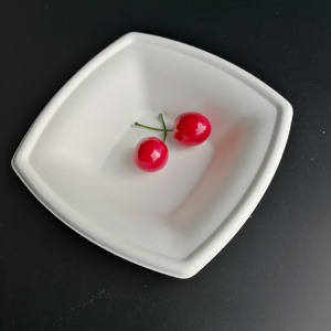 Carré de Bagasse De Canne À Sucre Jetable Biodégradable Bol - Product Image 1