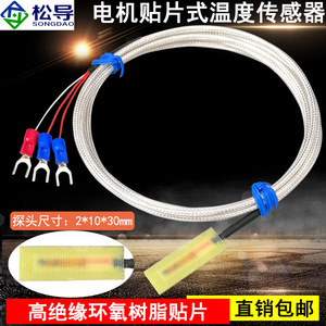 เทอร์โมมิเตอร์วัดอุณหภูมิแบบแพลตตินัม PT100 แบบติดตั้งด้วยเรซิน, หัววัดอุณหภูมิมอเตอร์แบบฉนวนผิวหน้า, เซ็นเซอร์วัดอุณหภูมิบัสบาร์ทองแดง - Product Image 3