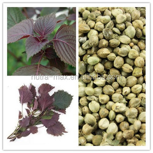 Bột Chiết Xuất Hoa Quả Perilla Chiết Xuất Hoa Xô Thơm Với 98% Sclareolide/Sclareol, Axit Ursolic, Dầu Xô Thơm - Product Image 6