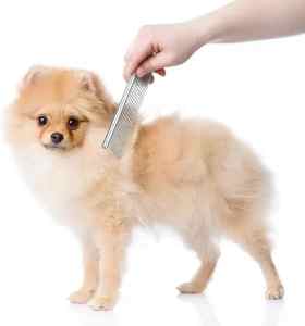 新デザインペットコームペットマッサージプロの脱着ブラシ抗シラミコームペットノミコーム - Product Image 4