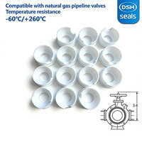 Sellos de Servicio Criogénico para Válvulas de GNL y Gas - 196 ° Sellos de PTFE, Anillos de Respaldo Extendidos, Cero Fugas, para Válvulas de Bola y de Compuerta