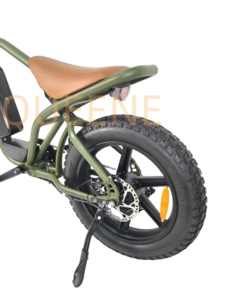 Bicicleta de Montaña QUEENE Nueva con Suspensión Completa y Asistencia al Pedaleo, Neumáticos Gruesos de 20*4.0, Batería de Litio de 20AH, Bicicleta Eléctrica - Product Image 3