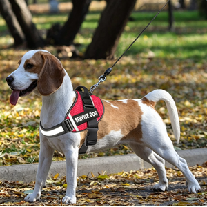 New Reflective Comfort Dog <b>Harness</b> Vest Style <b>Pet</b> Dog <b>Harness</b> and Leash Set - Product Image 5