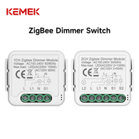 Module de variateur intelligent Tuya ZigBee 1 ou 2 voies, gradation de lumière AC 100-240V, compatible Alexa Google, module interrupteur variateur
