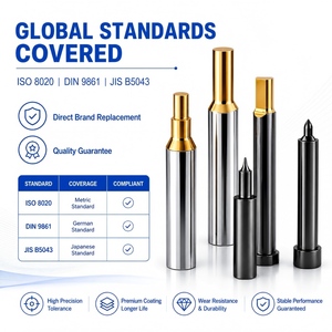 Poinçons et matrices personnalisés avec revêtement TiCN, pièces de moule d'estampage avec revêtement DLC CrN PVD, remplacement pour MISUMI DAYTON DIN ISO JIS - Product Image 5