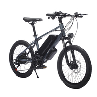 FRIKE Factory bicicleta eléctrica niños Safe Riding ebike niños Pedal batería de litio Fahrrad Elektro e dirt bike montaña eléctrica