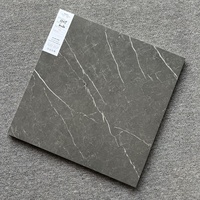 Matériaux de construction Carreaux de sol 60x60 Moule mat Surface antidérapante Corps complet Céramique rustique homogène Porcelaine