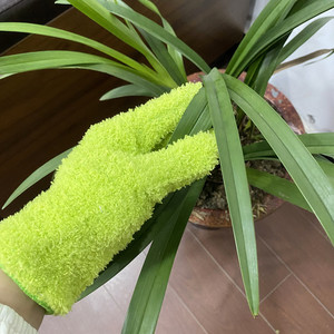 Gants de nettoyage réutilisables en <span class=keywords><strong>microfibre</strong></span> F5658 pour plantes, stores et meubles – Gants de dépoussiérage domestiques - Product Image 4