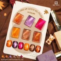 Vernis Gel TPO Free AW Effet Œil de Chat – Meilleures Ventes en Chine – Gel Magnétique Longue Durée Effet Verre pour Ongles Laser