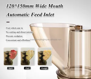 1200W Stainless Steel No Need Cut Auto Feeding Powerful Auger Cold Press Commercial Juicer Extractor For Juice Business