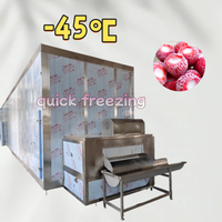 Tunnel de congélation rapide pour fraises -45 degrés Celsius, machine de surgélation ultra-basse température pour la transformation alimentaire