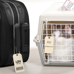 Quần áo may mặc Kraft <span class=keywords><strong>Swing</strong></span> manilla giấy treo <span class=keywords><strong>tag</strong></span> với chuỗi - Product Image 6