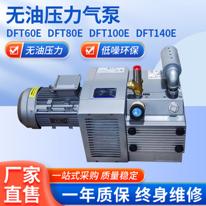 Pompe à pression sans huile série Isge Dft...e, 100000 Pa, décharge 33 mm, pièces électriques et pneumatiques en fonte et acier inoxydable - Product Image 5