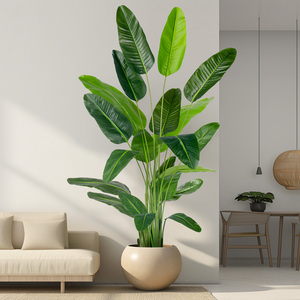 Vente <span class=keywords><strong>en</strong></span> Gros de Luxe Artificielle Simulation <span class=keywords><strong>en</strong></span> Direct Bonsaï <span class=keywords><strong>en</strong></span> <span class=keywords><strong>Pot</strong></span> Palmier du Voyageur Bananiers Intérieur Extérieur Maison Plastique Soie PE - Product Image 5