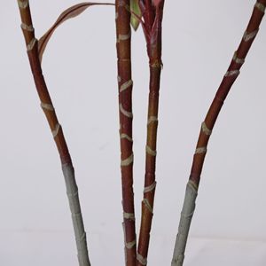 Plante artificielle Cordyline Fruticosa pour aménagement paysager, ornement de jardin, décoration intérieure en plastique, plantes artificielles, fausses plantes - Product Image 4