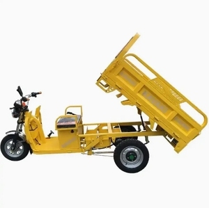 Tricycles électriques à trois roues à prix d'usine pour vélo cargo à usage agricole avec EEC Coc pour camion, taxi et transport privé - Product Image 4