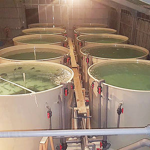 Aquaculture Pisciculture D'aquaculture Machines Ras Pêche Système D'étang de Pisciculture, Pisciculture Chine Outils D'aquaculture Et Équipement - Product Image 5