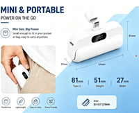 Produk Tren 2026 Power Bank Terlaris 5000mAh Mini Capsule 20W Pengisian Cepat USB Layar LED Plug 2-in-1 Portabel OEM