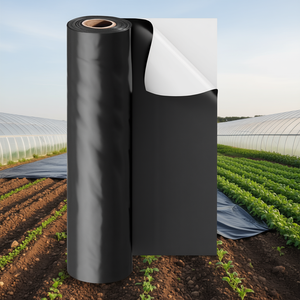 Bâche en plastique double face noir et blanc 10 x 100 pieds 6 mil pour l'agriculture et la peinture - Product Image 2