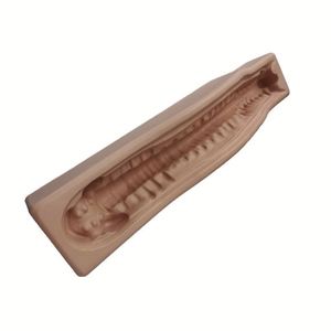 KyrenMed-Soporte Cervical <span class=keywords><strong>Posterior</strong></span> para Columna Vertebral, Base de Modelo de Hueso de <span class=keywords><strong>Esqueleto</strong></span> Humano, con Diseño de Base, de Modelo de <span class=keywords><strong>Esqueleto</strong></span> Humano, con Diseño A LA Moda, para el Hogar, con Diseño de Cuello, a la Moda - Product Image 3