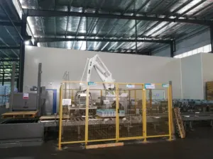 Sistema di pallettizzatore robotico, confezionatrice impilabile Pellet, Robot per imballaggio Pallet