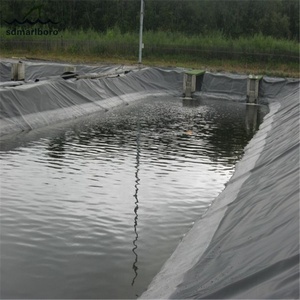 HDPE PVC Geomembrana Vertedero Minería Proyecto <span class=keywords><strong>Tendor</strong></span> Proveedor Profesional - Product Image 6