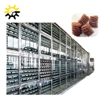 Ligne de production industrielle de nouilles ramen instantanées sans gluten/machines d'extrusion automatique de vermicelles de nouilles de riz instantanées