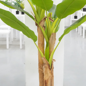 Style hawaïen grand bananier artificiel à trois tiges avec <span class=keywords><strong>intérieur</strong></span> extérieur fête de mariage en plastique bonsaï <span class=keywords><strong>plante</strong></span> - Product Image 4