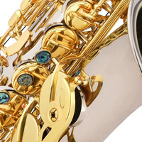 High Quality Saxophone E Flat for Students Beginner with Case Bag