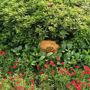 Thinuna LS-501 PA sistema Audio 15/30W Soundscape impermeabile giardino prato di pietra di roccia altoparlanti utilizzati nel cortile all'aperto - Product Image 3