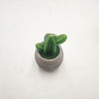 Bougie parfumée en pot personnalisée, art du pot, logo personnalisé mignon, plantes succulentes, décoration de la maison, aromathérapie universelle, cire de soja, pilier de fleurs