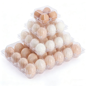 ถาดบรรจุไข่ไก่แบบใช้แล้วทิ้ง 4 6 8 10 12 15 16 20 24 30 รู  ซัพพลายเออร์ถาดพลาสติกใสแบบ PET สำหรับไข่ - Product Image 2