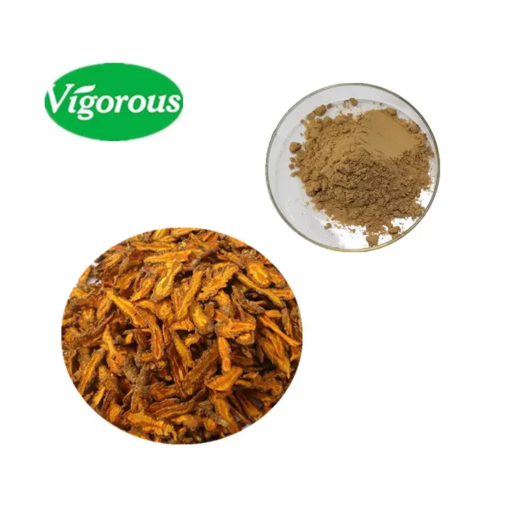 Chiết Xuất Rễ Cây Coptis Chinensis Chất Lượng Cao Hữu Cơ An Toàn Tự Nhiên