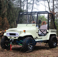 Mini Jeep 4x4 à essence 300cc, 5 places adultes, véhicule buggy de plage, fourni par le fabricant