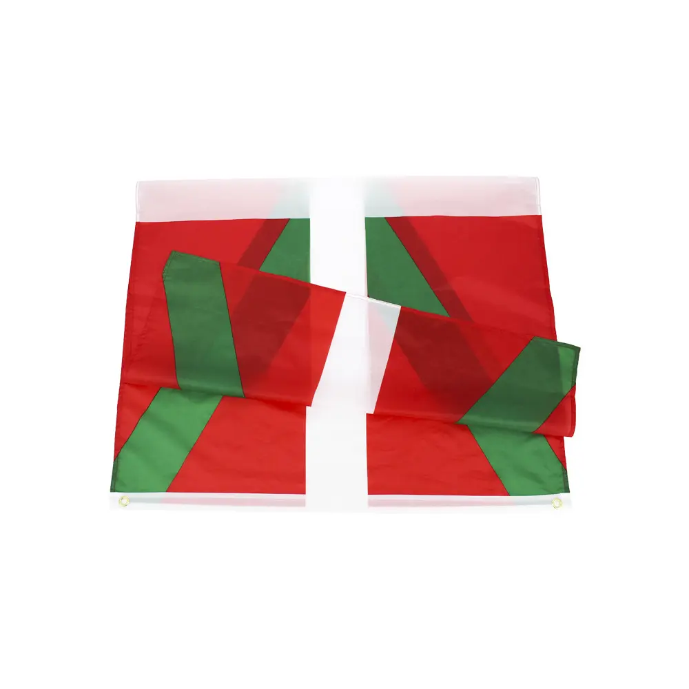 Tùy chỉnh 90*150 Polyester Vải biểu ngữ 3*5 quốc gia basque cờ của Ireland với Brass grommets