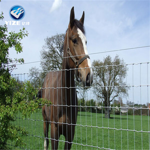 Fábrica directa ganado fence/barato valla campo/energizador <span class=keywords><strong>de</strong></span> cerca eléctrica diagrama del <span class=keywords><strong>circuito</strong></span> para 16 años - Product Image 4